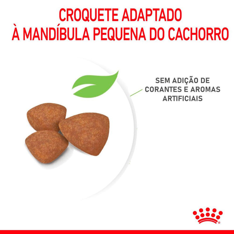 Ração Seca Royal Canin Mini Indoor para Cães Filhotes Porte Pequeno