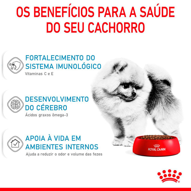 Ração Seca Royal Canin Mini Indoor para Cães Filhotes Porte Pequeno