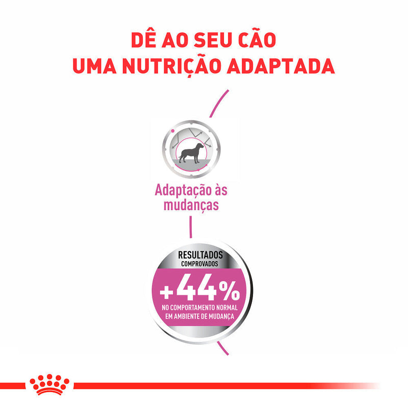 Ração Royal Canin Relax Care para Cães Adultos de Porte Mini a Partir de 10 Meses de Idade