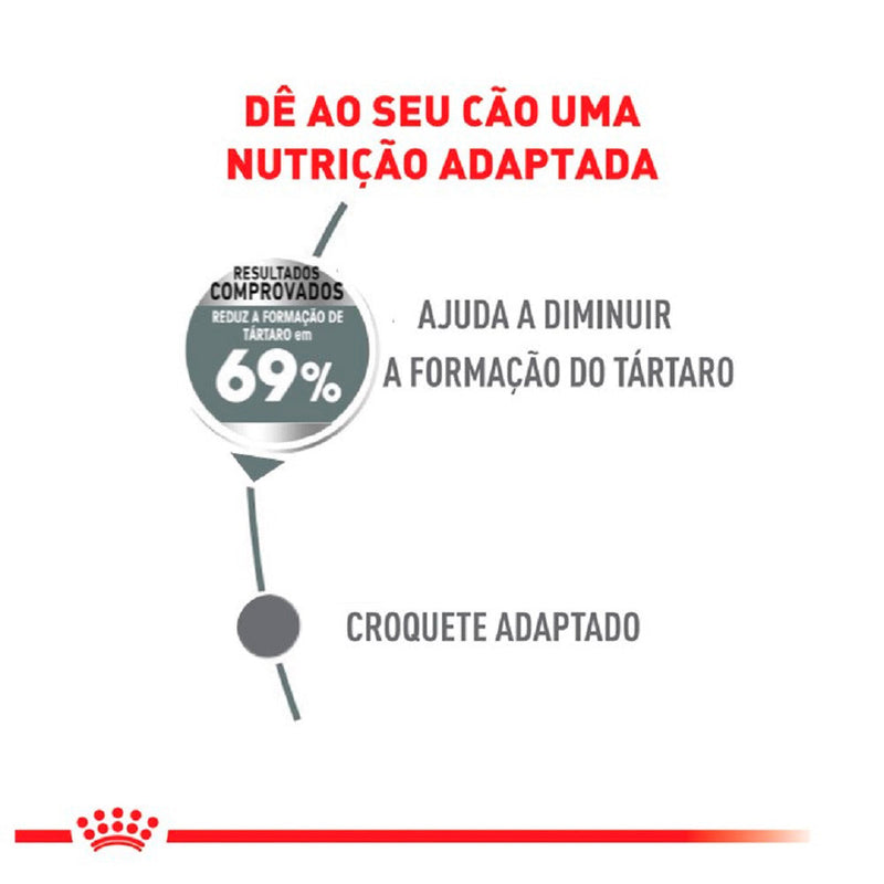 Ração Royal Canin Mini Cuidado Dental para Cães Adultos de Porte Pequeno 2,5 kg