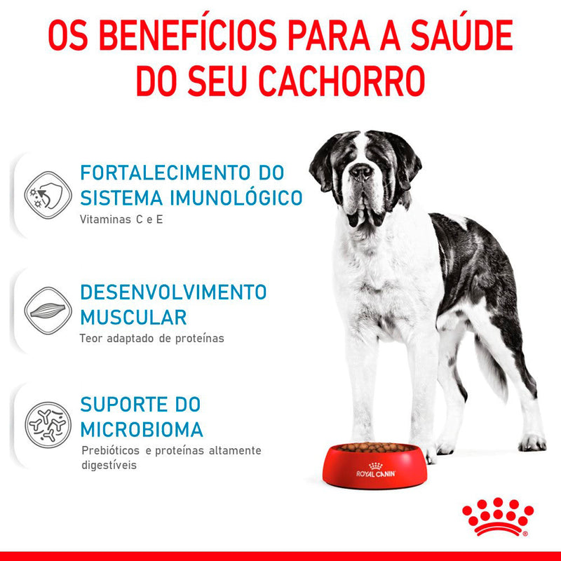 Ração Seca Royal Canin Giant Puppy para Cães Gigantes Filhotes de 8 a 18/24 Meses de Idade - 15 Kg