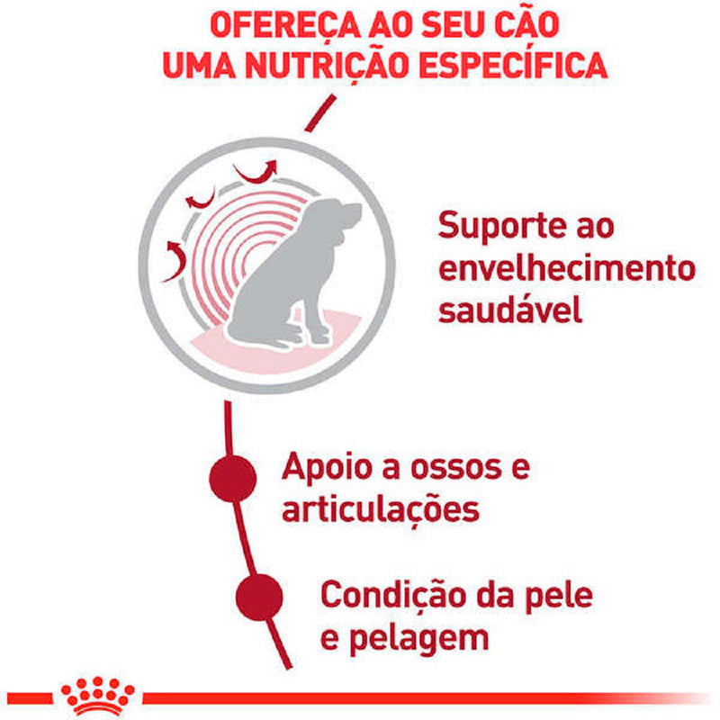 Ração Seca Royal Canin Medium Ageing 10 + para Cães Idosos de Porte Médio com 10 Anos ou mais - 15 Kg