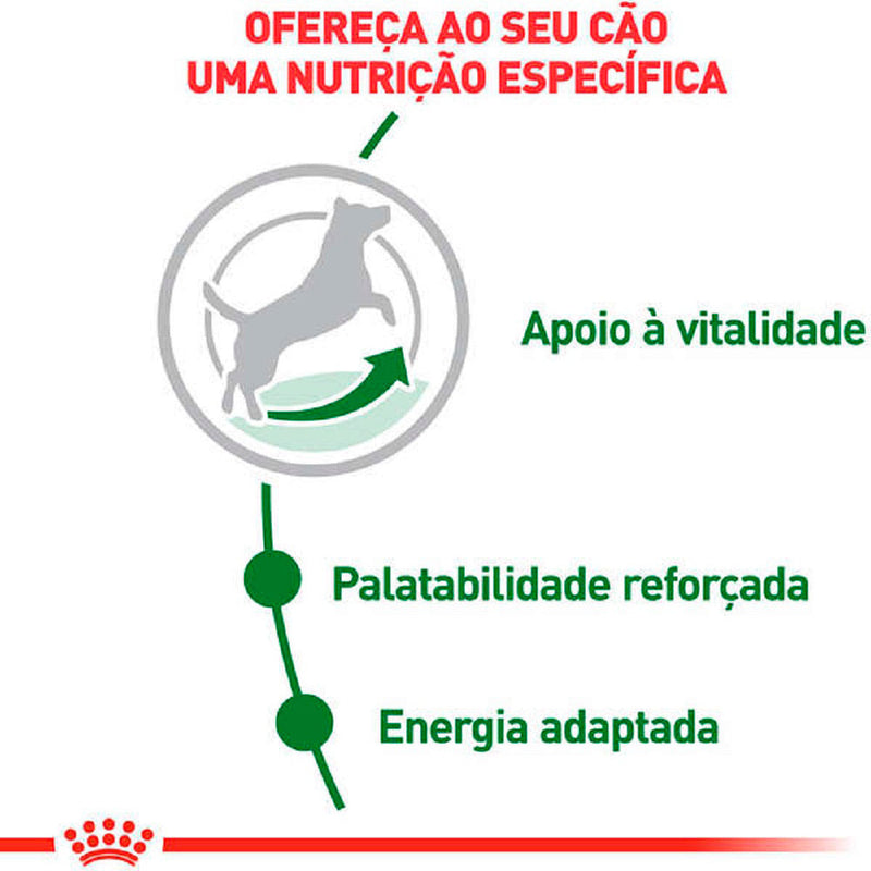 Ração Seca Royal Canin Mini Adult 8+ para Cães Adultos de Porte Pequeno com 8 Anos ou mais