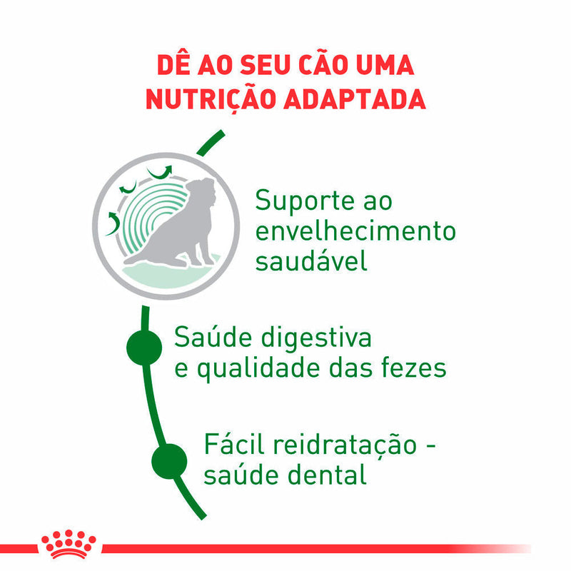 Ração Seca Royal Canin Mini Indoor Senior para Cães Idosos de Porte Pequeno com 8 Anos ou mais