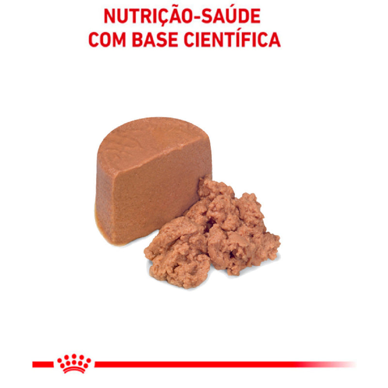 Ração Úmida Royal Canin Lata Veterinary Diet Recovery para Cães e Gatos em Recuperação - 195 g