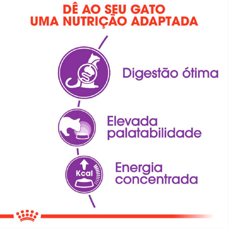 Ração Royal Canin Sensible para Gatos Adultos