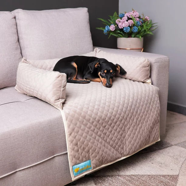 Cama pet Aconchego para sofá para cães e gatos