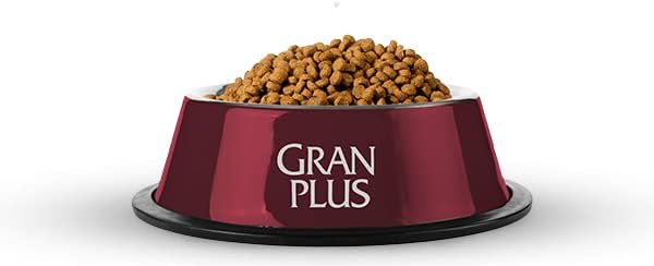 Ração GranPlus Gourmet para Cães Adultos de Porte Mini Sabor Ovelha e Arroz