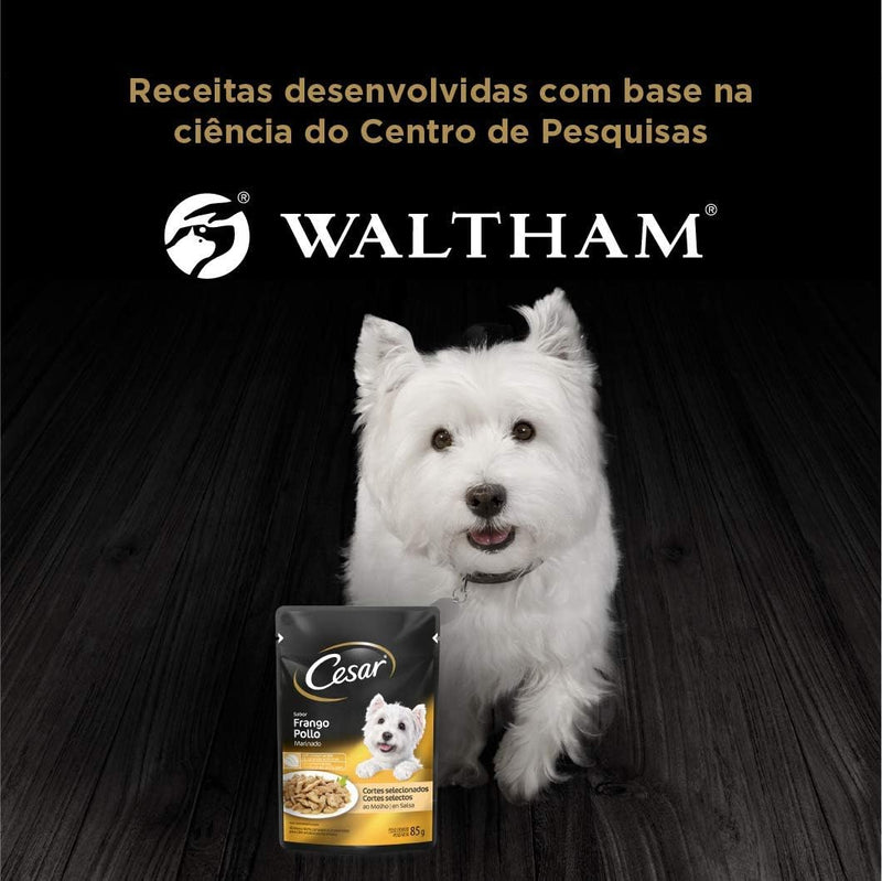 Pack Ração Úmida Cesar Sachê Cortes Selecionados Frango Marinado ao Molho Para Cães Adultos 85 g - 40 unidades