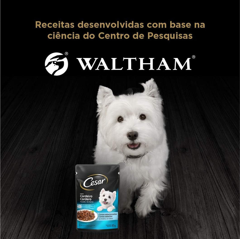 Pack Ração Úmida Cesar Sachê Cortes Selecionados Cordeiro Assado ao Molho Para Cães Adultos 85 g - 40 unidades