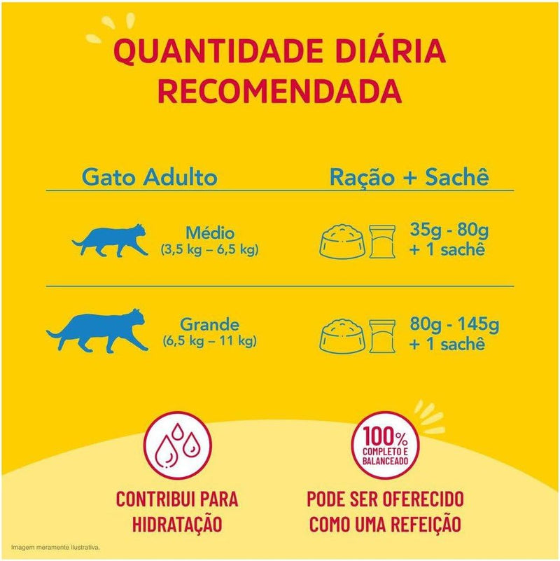 Pack Nestlé Purina Friskies Ração Úmida Para Gatos Adultos Carne Ao Molho - Com 15 Sachês 85g