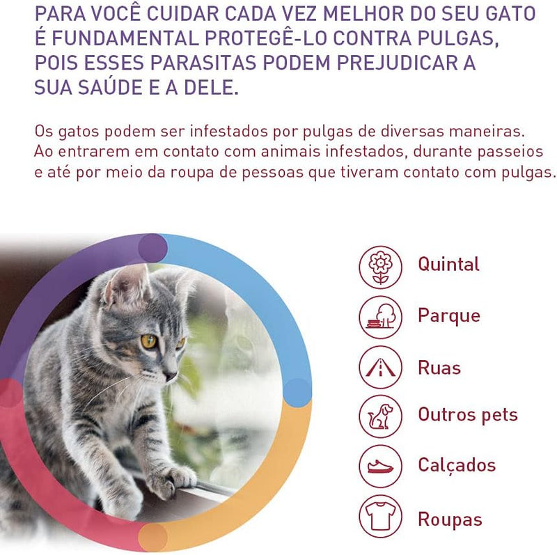 Bravecto Antipulgas Transdermal Para Gatos