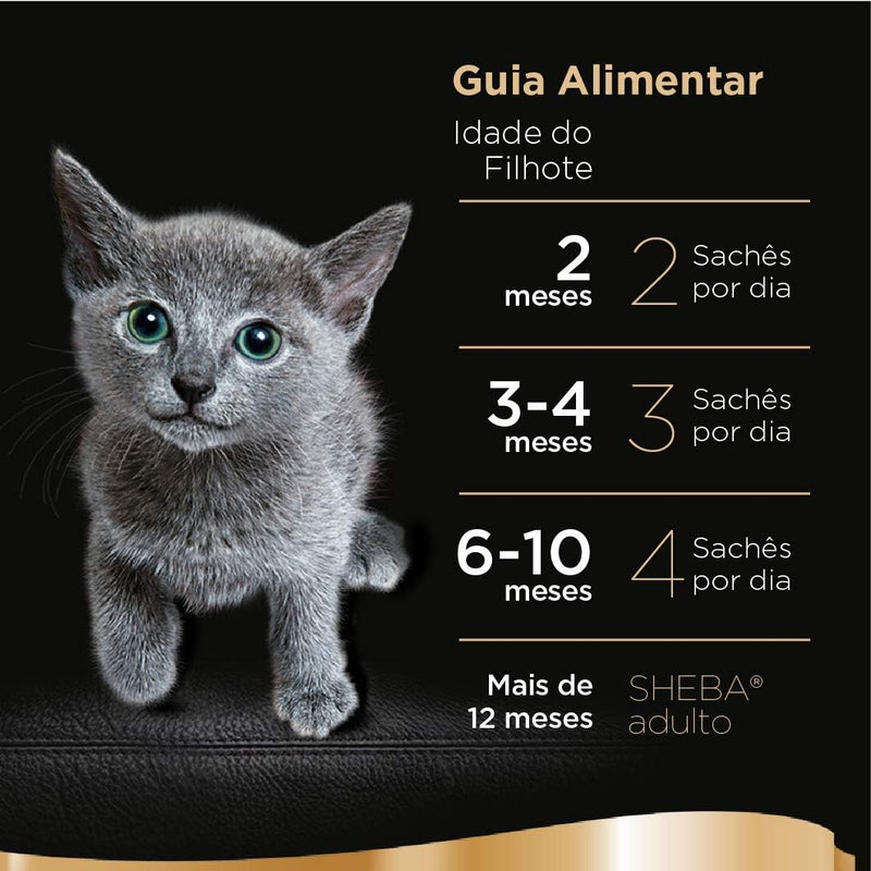 Pack Ração Úmida Sheba Sachê para Gatos Filhotes Sabor Atum Marinado 85g - 40 unidades