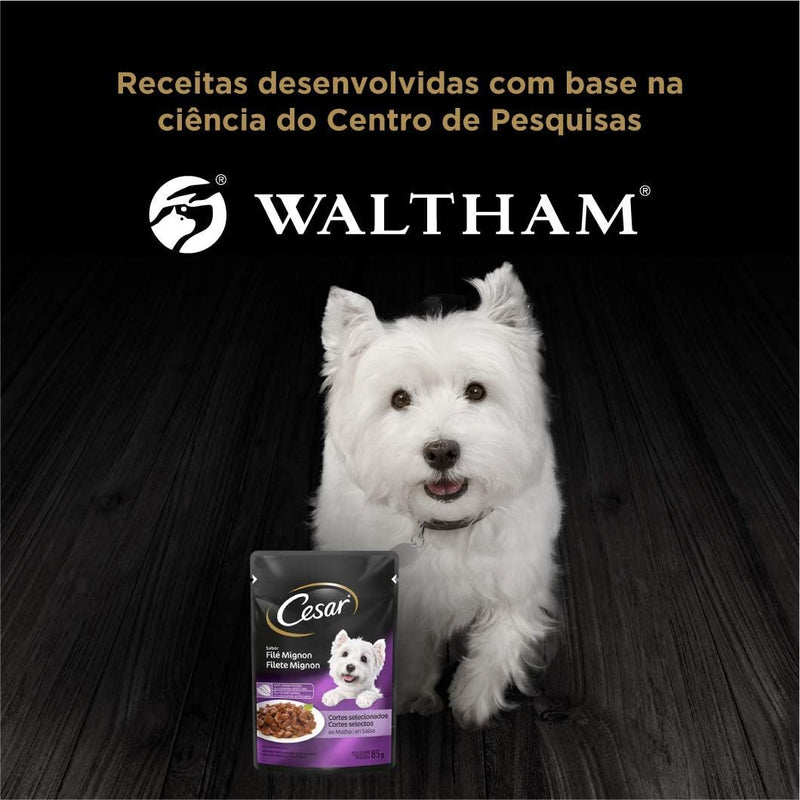 Pack Ração Úmida Cesar Sachê Cortes Selecionados Filé Mignon Para Cães Adultos 85 g - 40 unidades