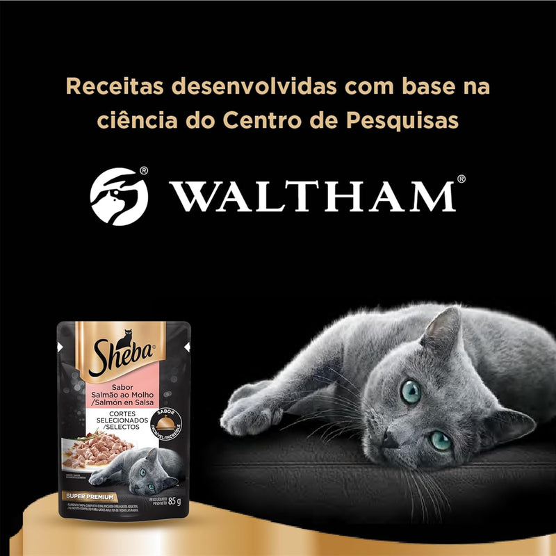 Pack Ração Úmida Sheba Sachê para Gatos Adultos Sabor Salmão ao Molho 85g - 40 unidades