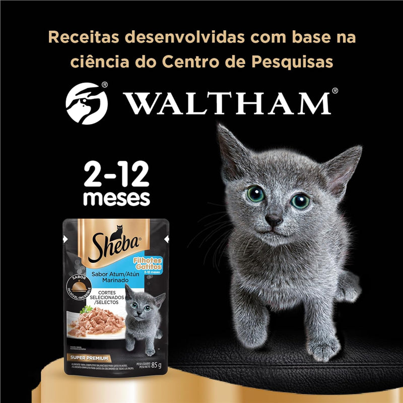 Pack Ração Úmida Sheba Sachê para Gatos Filhotes Sabor Atum Marinado 85g - 40 unidades