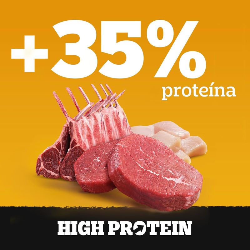 Pack Ração Úmida Pedigree High Protein Cães Adultos - 20 unidades