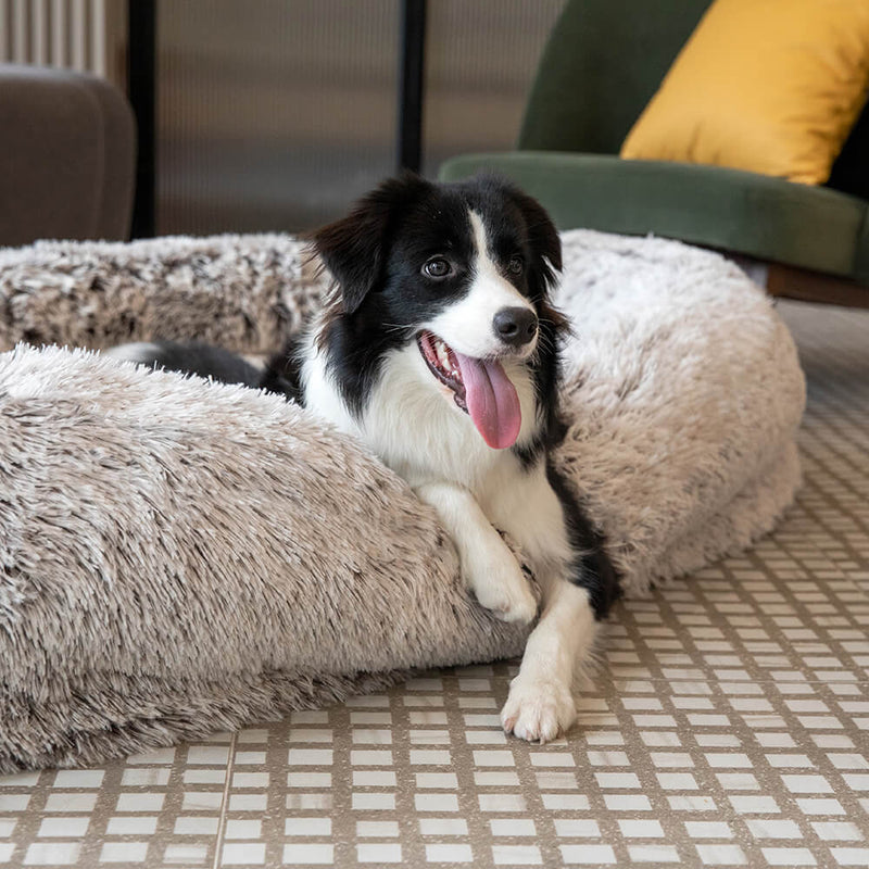 Cama humana super grande luxuosa para cachorro com cobertura macia super para animais de estimação